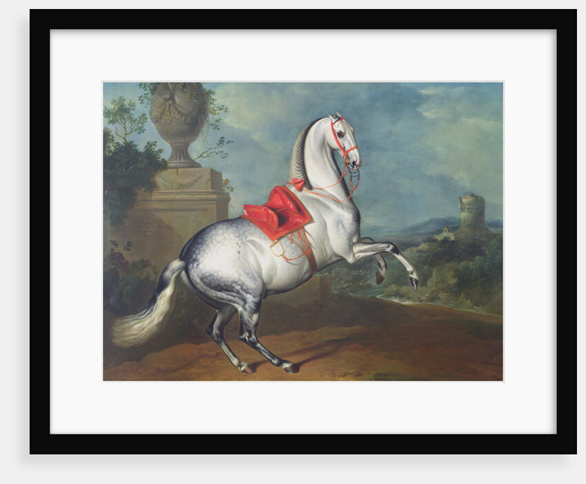 The Dapple Grey Galloping by Johann Georg Hamilton