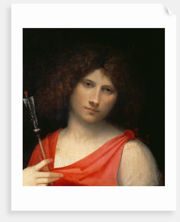 Youth holding an Arrow, c.1505 by Giorgione