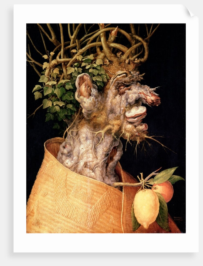 Winter by Giuseppe Arcimboldo