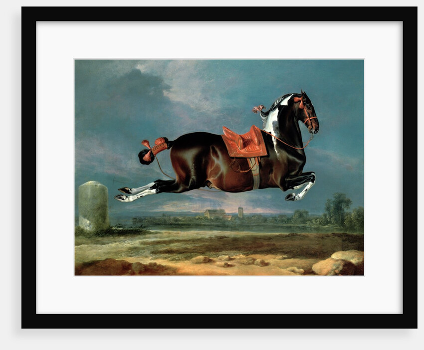 The Piebald Horse 'Cehero' Rearing, 1721 by Johann Georg Hamilton