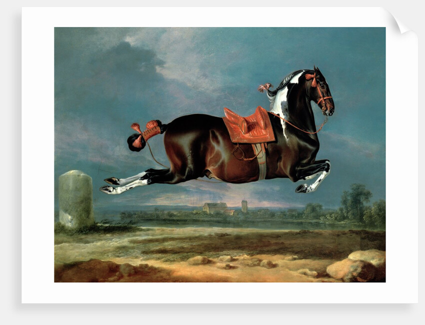 The Piebald Horse 'Cehero' Rearing, 1721 by Johann Georg Hamilton