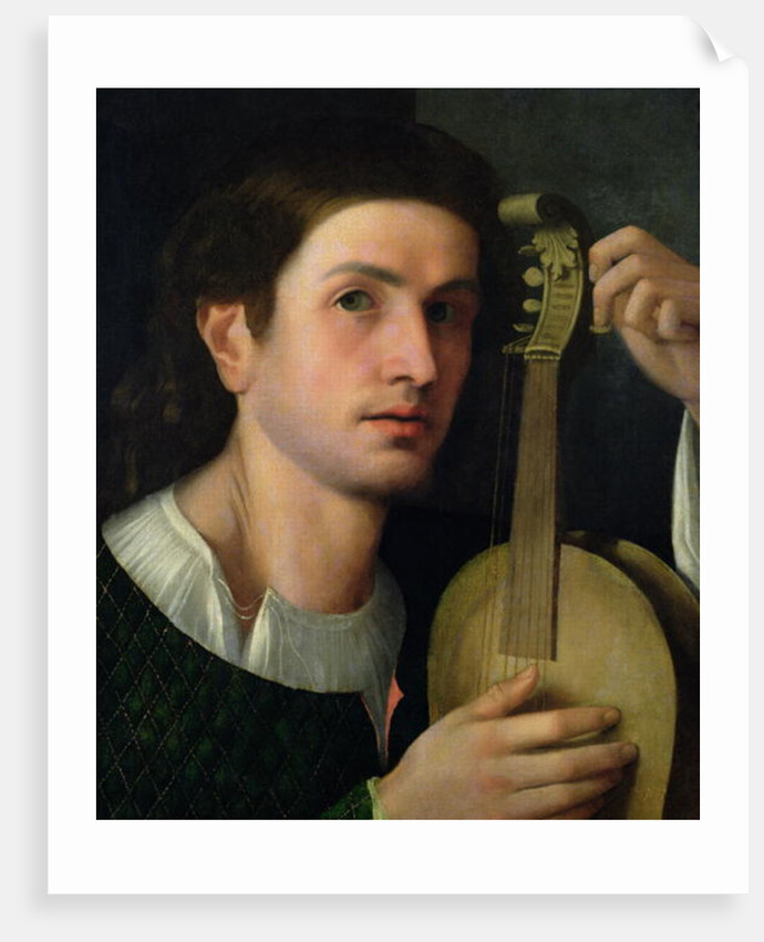 The Lyre, c.1515 by Italian School