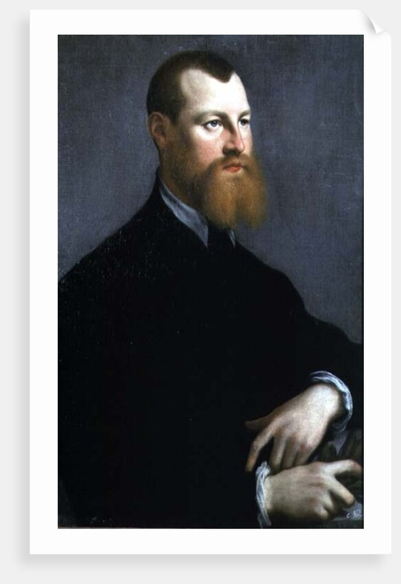 Portrait of a man with a ginger beard, 16th century by Jan Stephen Calcar