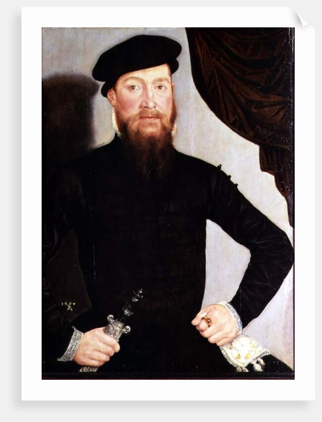 Portrait of a man, 1564 by Lucas the Younger Cranach