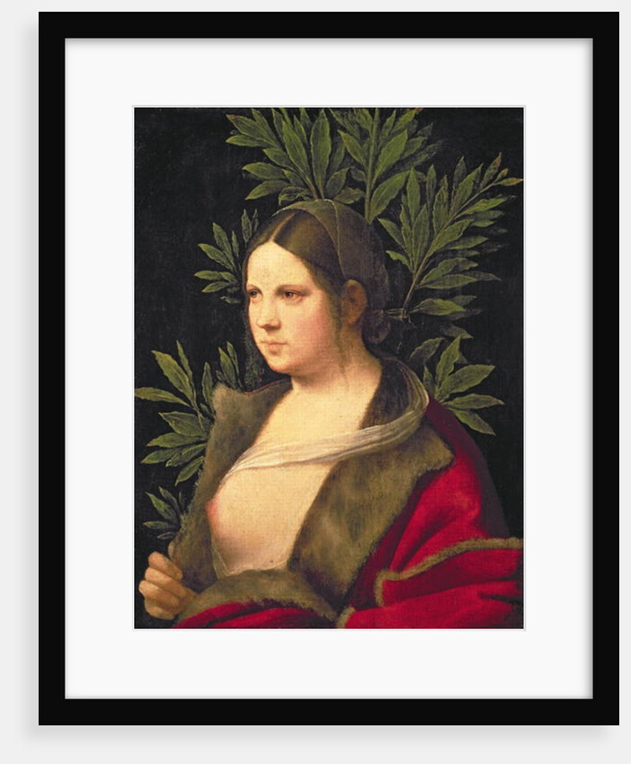 Portrait of a Young Woman, 1506 by Giorgione