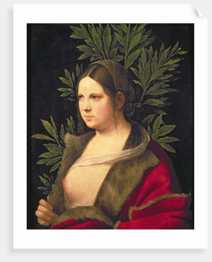 Portrait of a Young Woman, 1506 by Giorgione