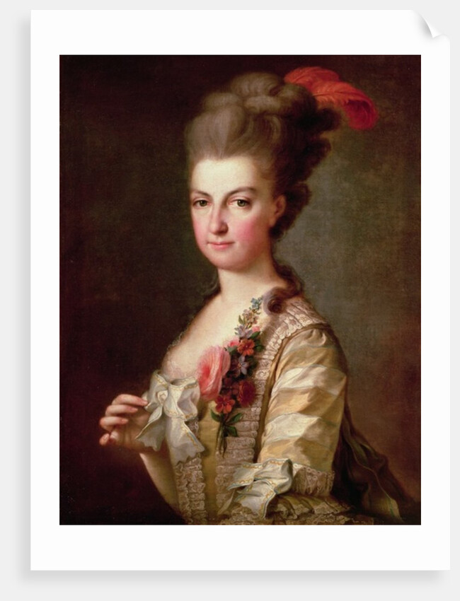 Archduchess Marie-Christine Habsburg-Lothringen by Anonymous