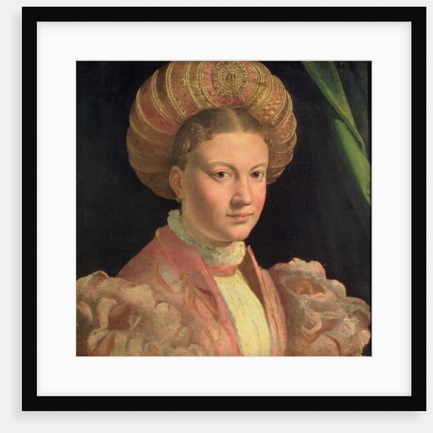 Portrait of a young woman, possibly Countess Gozzadini, c.1530 by Parmigianino (1503-40)
