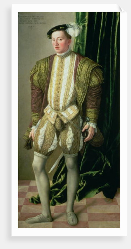 Archduke Ferdinand of Tirol, son of the Holy Roman Emperor Ferdinand I, 1548 by Jakob Seisenegger