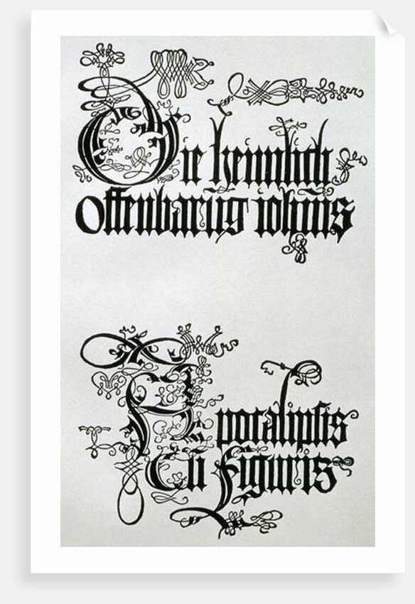 Inscriptions in Gothic script by Albrecht Dürer or Duerer