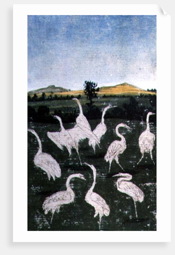 Herons in a field by Konrad Witz