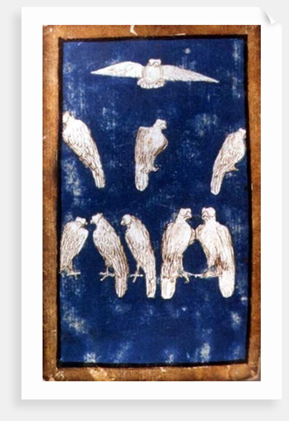 Birds of Prey in flight and on perches, one of a set of playing cards depicting scenes of courtly hawking, Upper Rhein Area, c.1440-45 by Konrad Witz