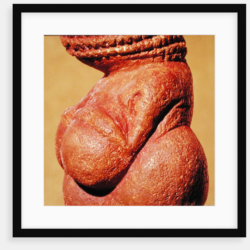 Female figurine known as the Venus of Willendorf, side view detail of torso, Gravettian culture, Upper Palaeolithic Period, c.30000-18000 BC by Paleolithic Paleolithic