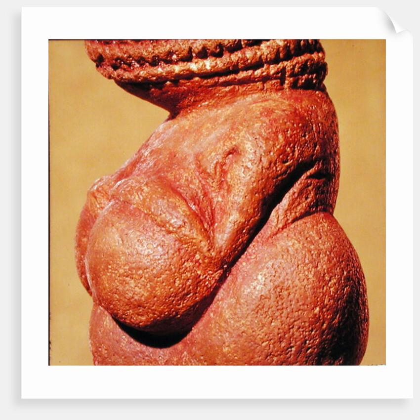 Female figurine known as the Venus of Willendorf, side view detail of torso, Gravettian culture, Upper Palaeolithic Period, c.30000-18000 BC by Paleolithic Paleolithic