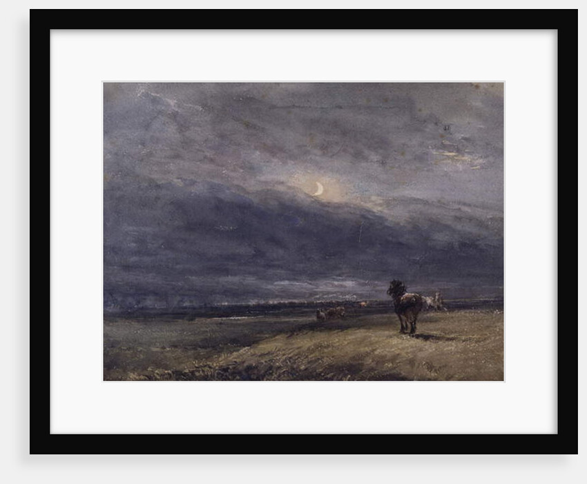 The Night Train by David Cox