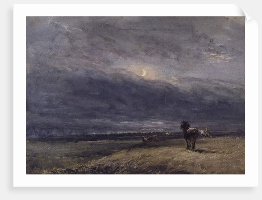 The Night Train by David Cox