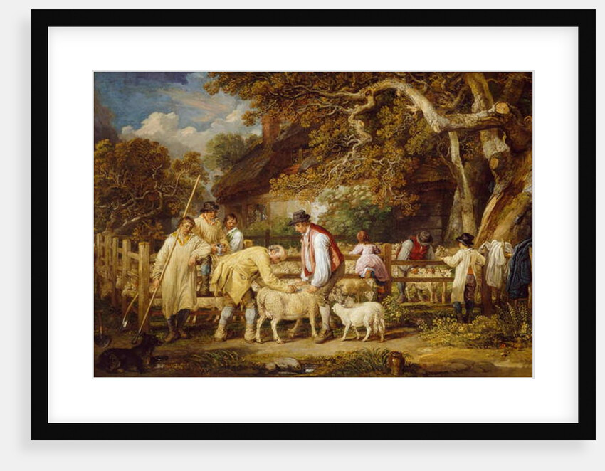 Sheep Salving, 1828 by James Ward