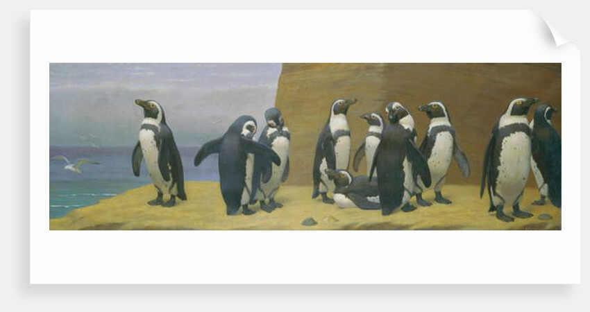 Dominicans in Feathers, 1887 by Henry Stacy Marks