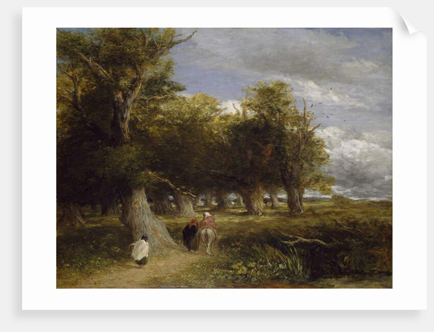 Skirts of the Forest, 1855 by David Cox