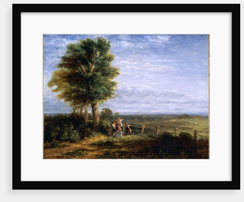 The Skylark, 1849 by David Cox