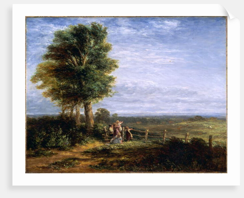 The Skylark, 1849 by David Cox