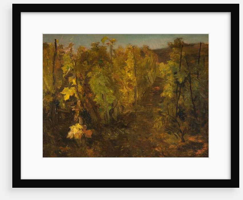 La Vigne, 1860-1863 by Charles Francois Daubigny