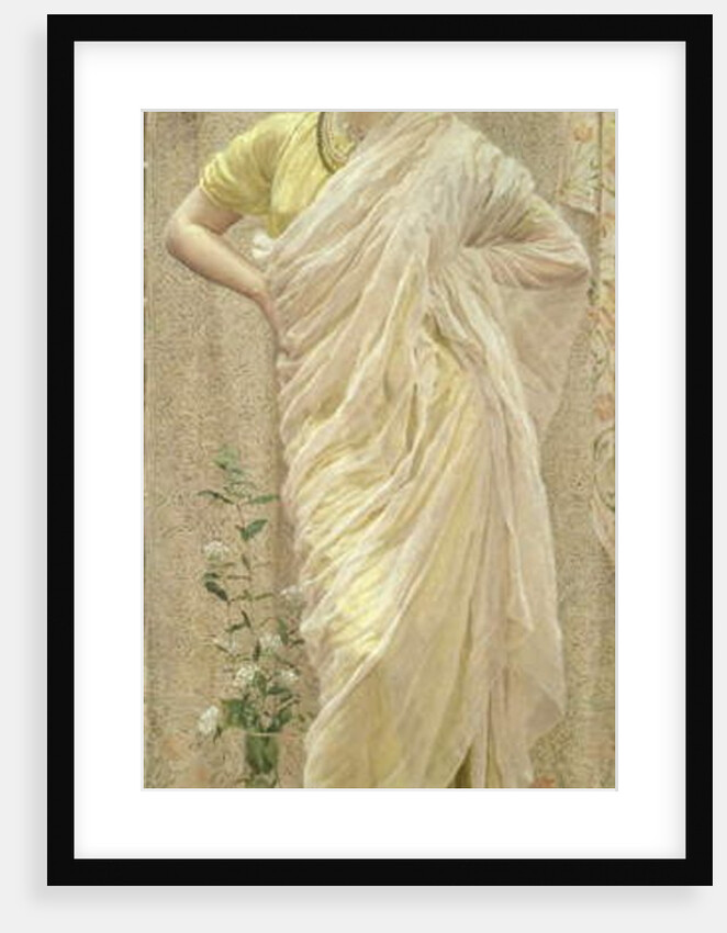 Birds by Albert Joseph Moore