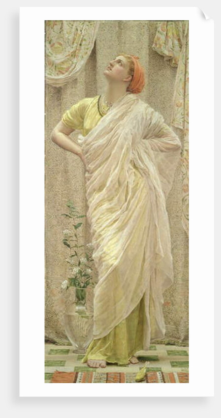 Birds by Albert Joseph Moore