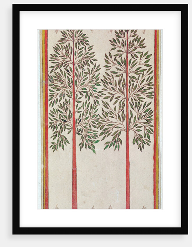 Trees by American School