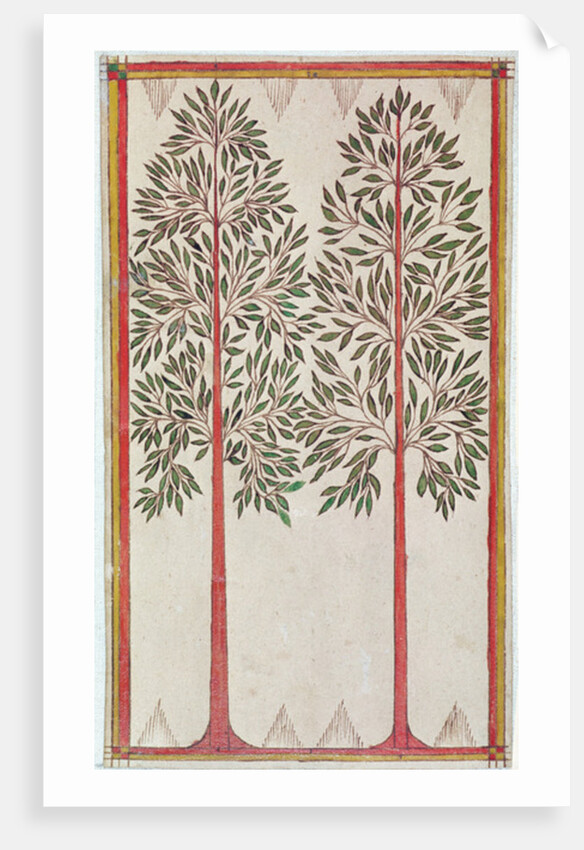 Trees by American School