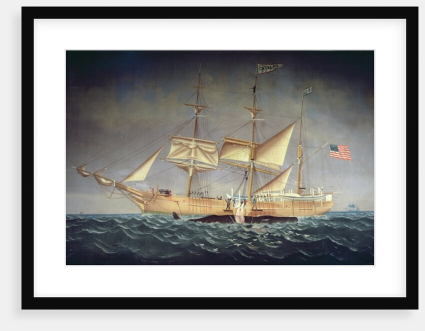 The 'Catalpa' with whale by American School