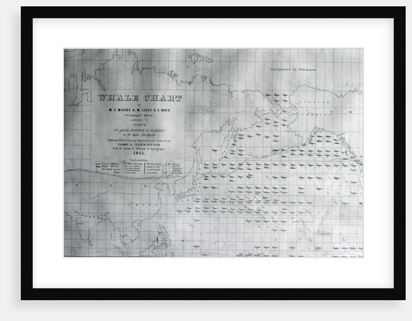 Whale Chart of the North Pacific, 1851 by American School