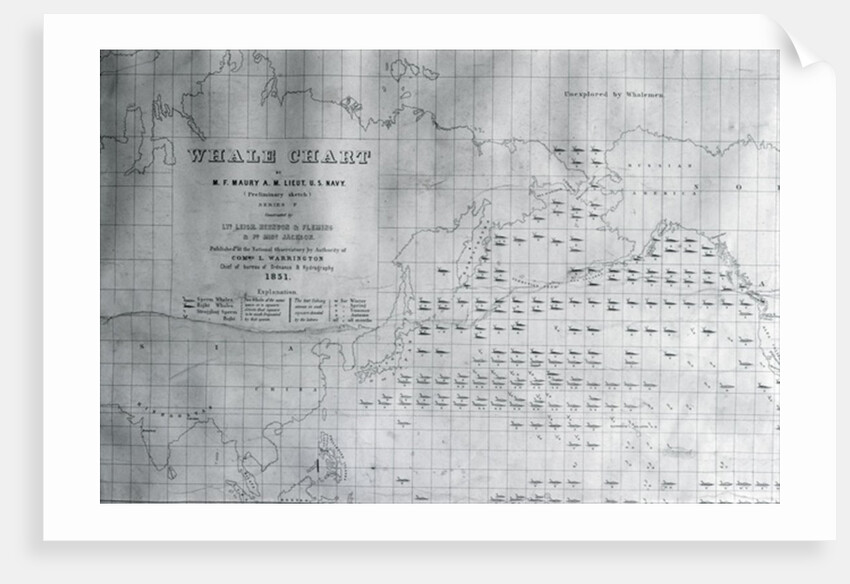 Whale Chart of the North Pacific, 1851 by American School