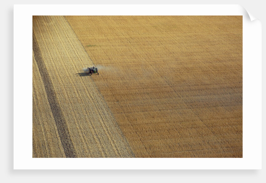 A tractor harvesting by Anonymous