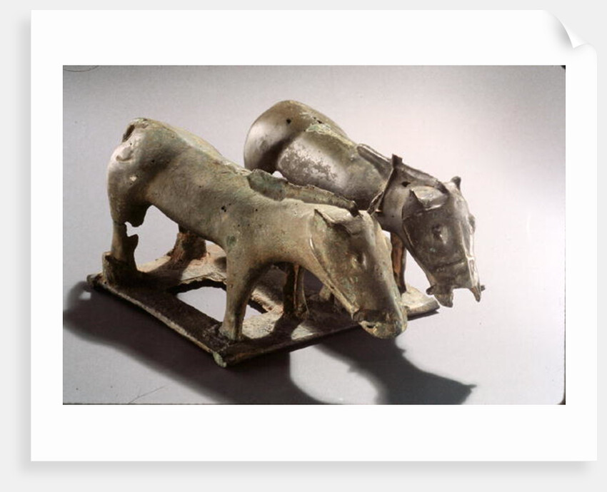 Ordos Nomads by School Chinese