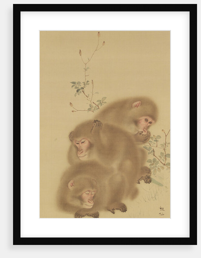 Baboon Family by Japanese School