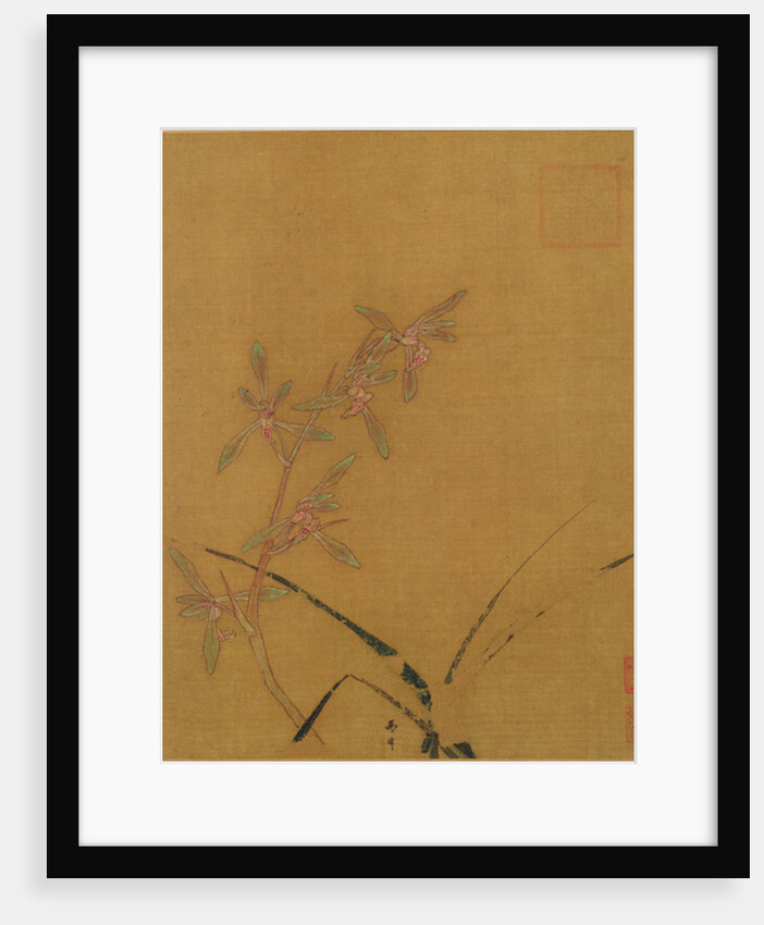 Orchids by Japanese School