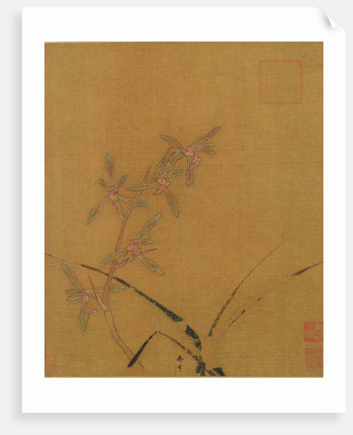 Orchids by Japanese School