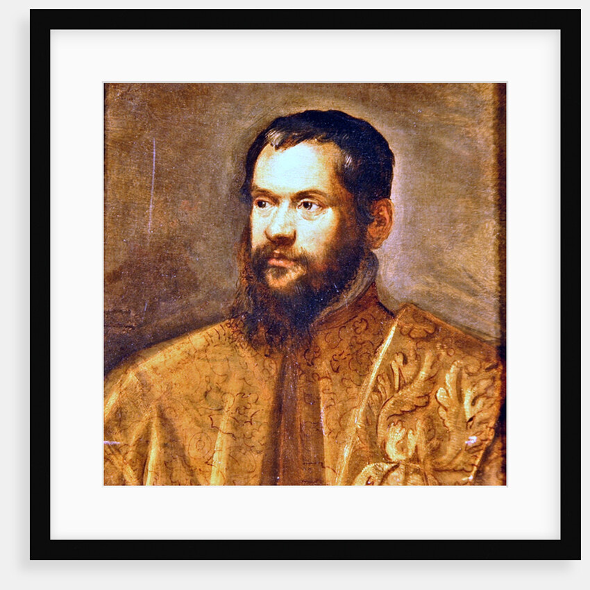 Portrait of a Man by Domenico Robusti Tintoretto