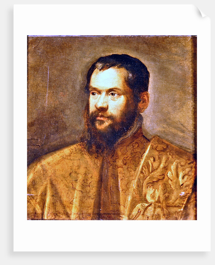 Portrait of a Man by Domenico Robusti Tintoretto