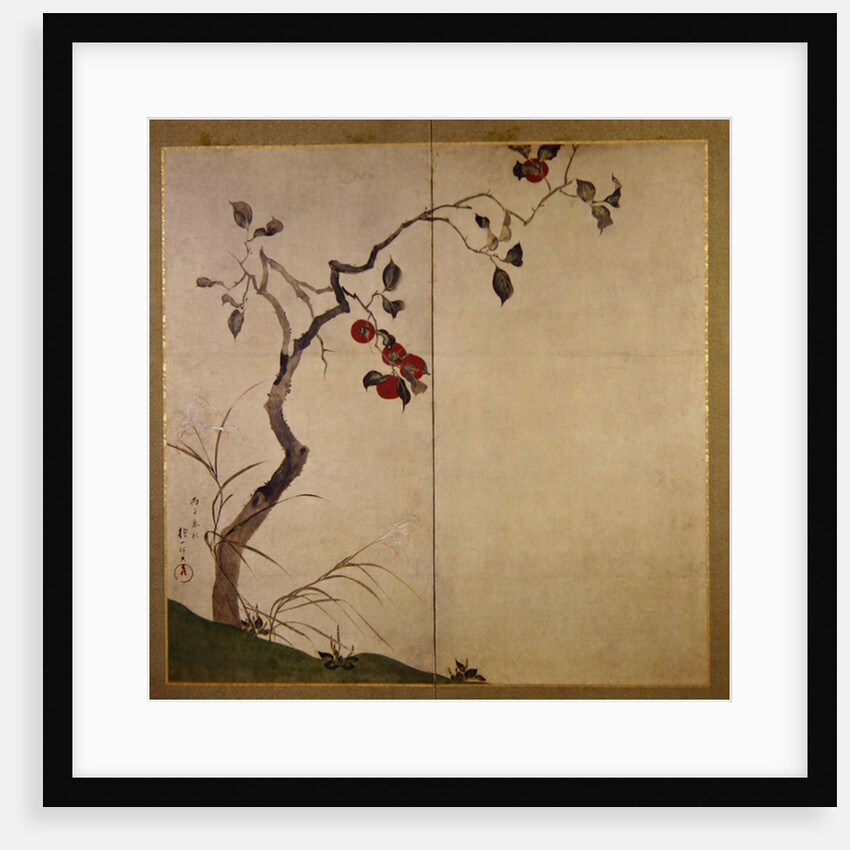 Persimmon on Tree by Sakai Hoitsu