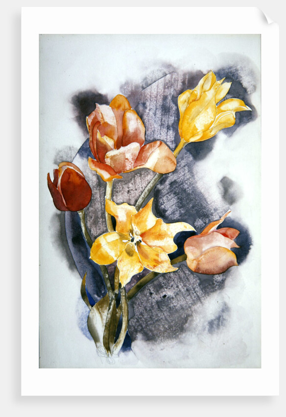 Bouquet, c.1923 by Charles Demuth