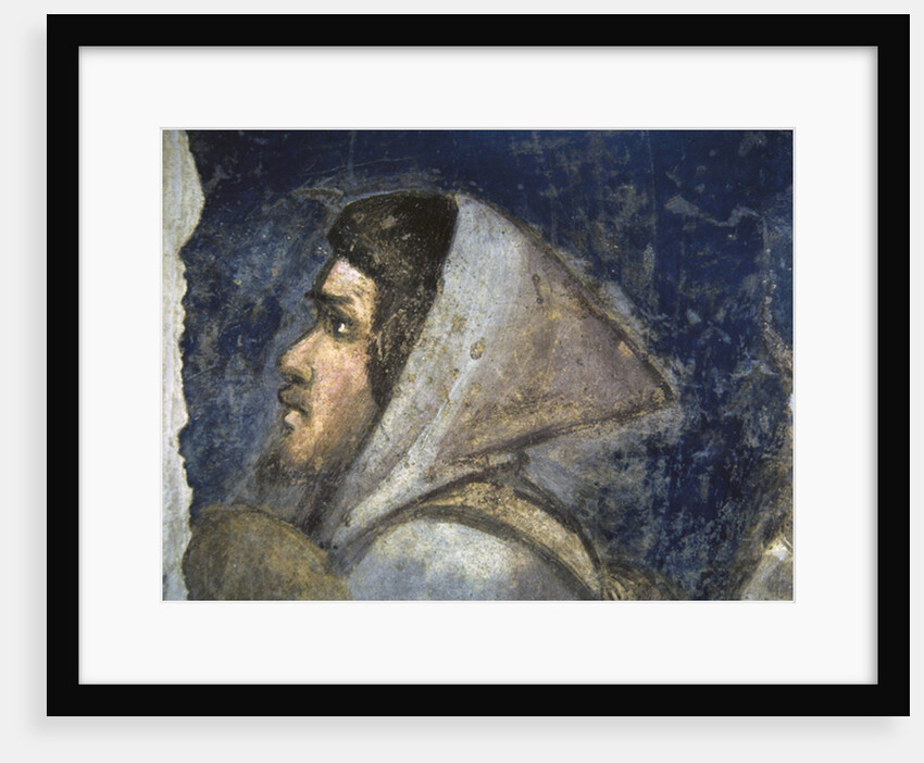 Head of a shepherd by Giotto