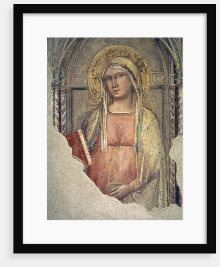 Madonna del Parto by Taddeo Gaddi