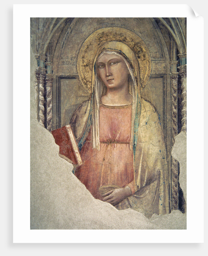 Madonna del Parto by Taddeo Gaddi