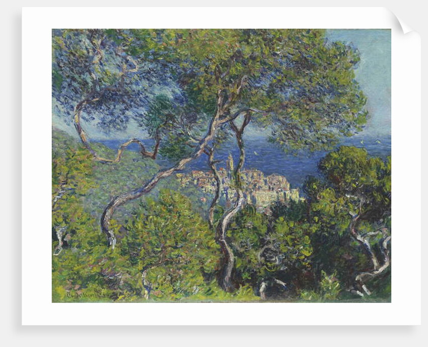 Bordighera, 1884 by Claude Monet