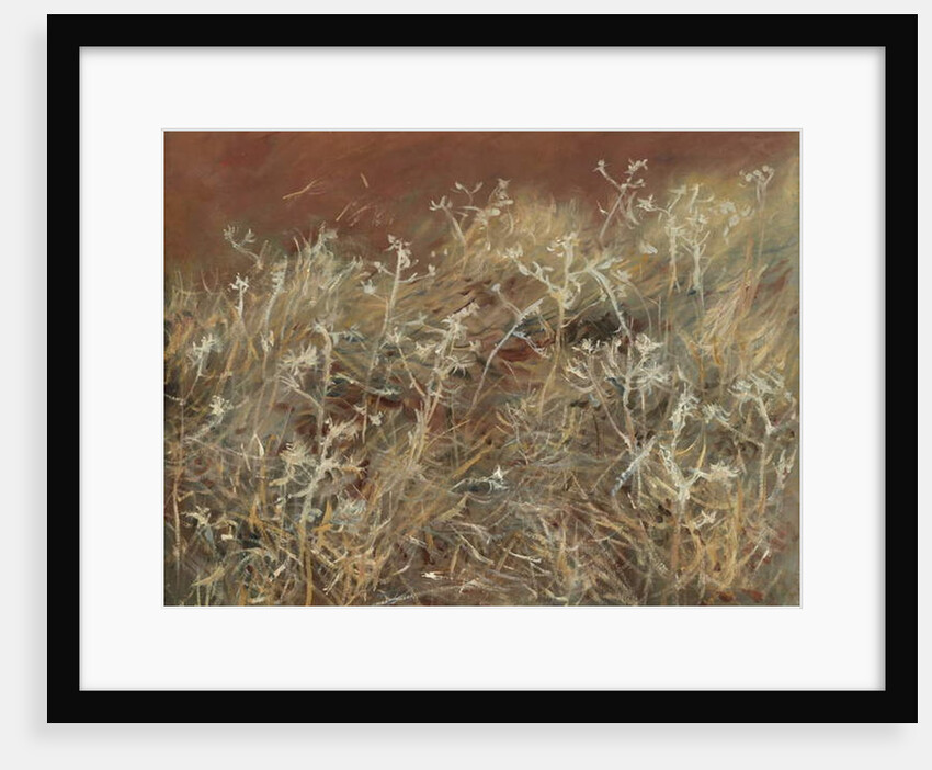 Thistles, 1885-89 by John Singer Sargent