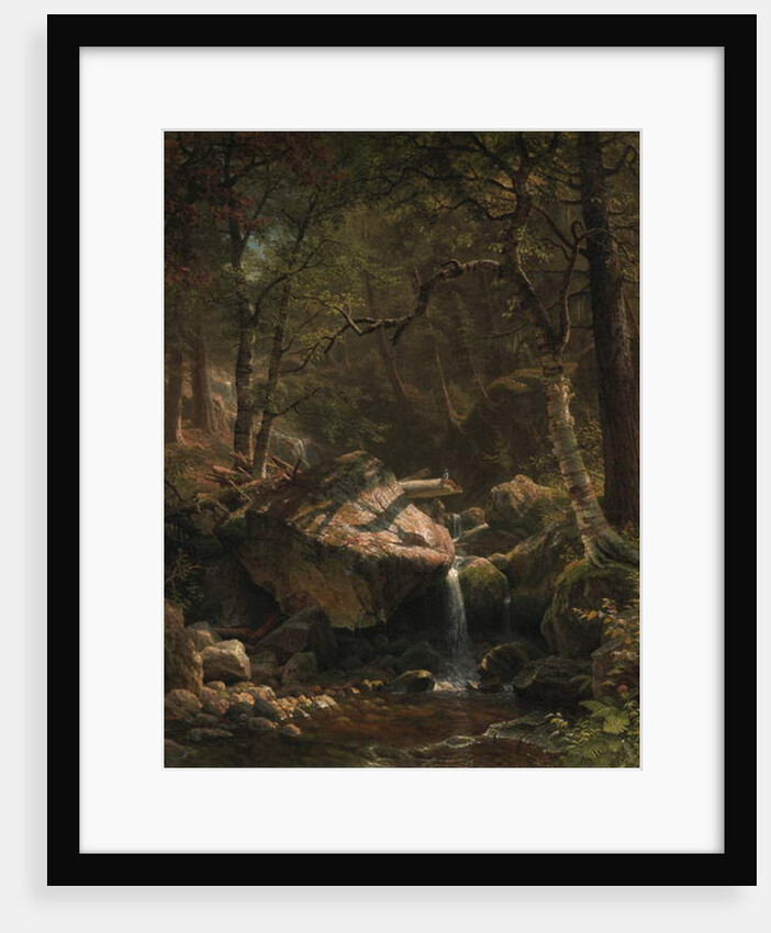 Mountain Brook, 1863 by Albert Bierstadt