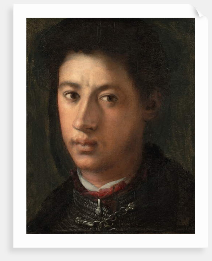 Alessandro de' Medici, 1534-35 by Jacopo Pontormo