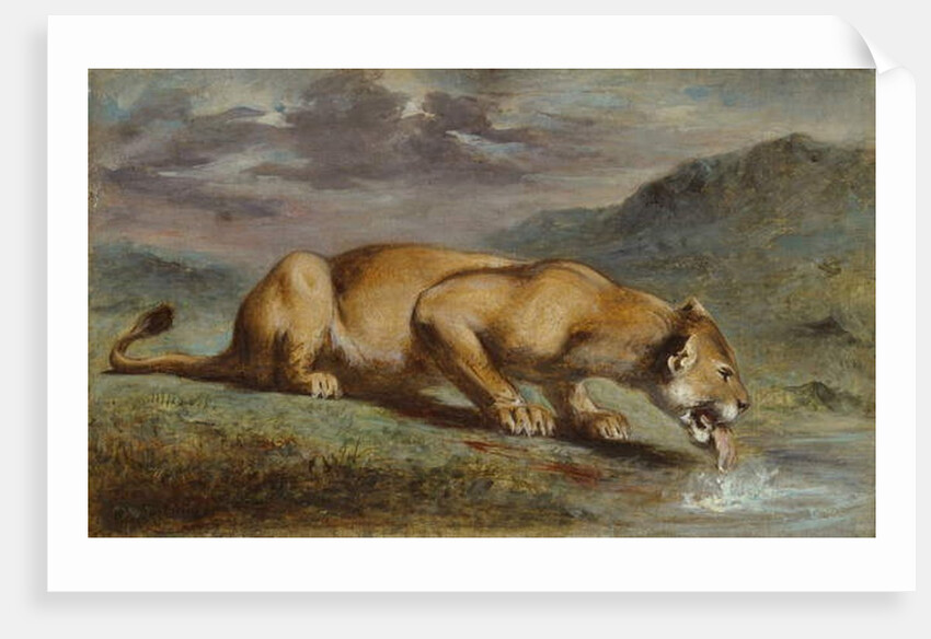 Wounded Lioness, 184050 by Pierre Andrieu